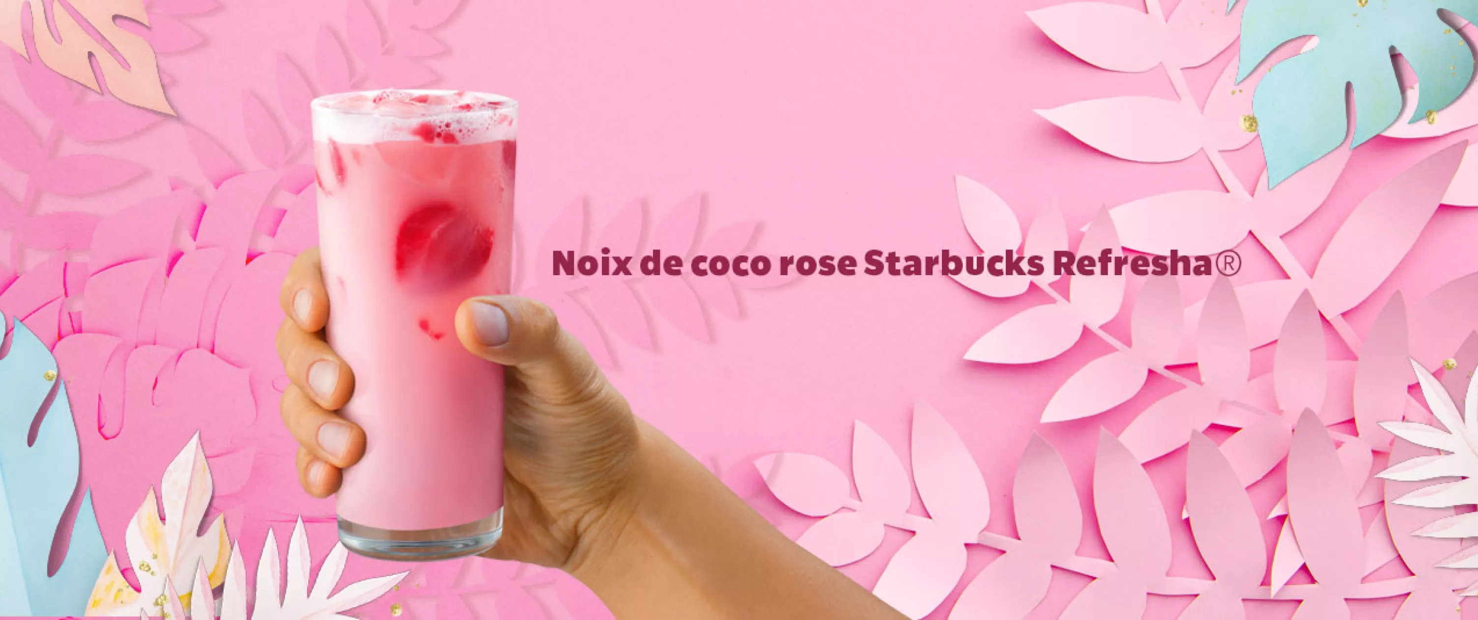 Pink Coconut Starbucks Refresha