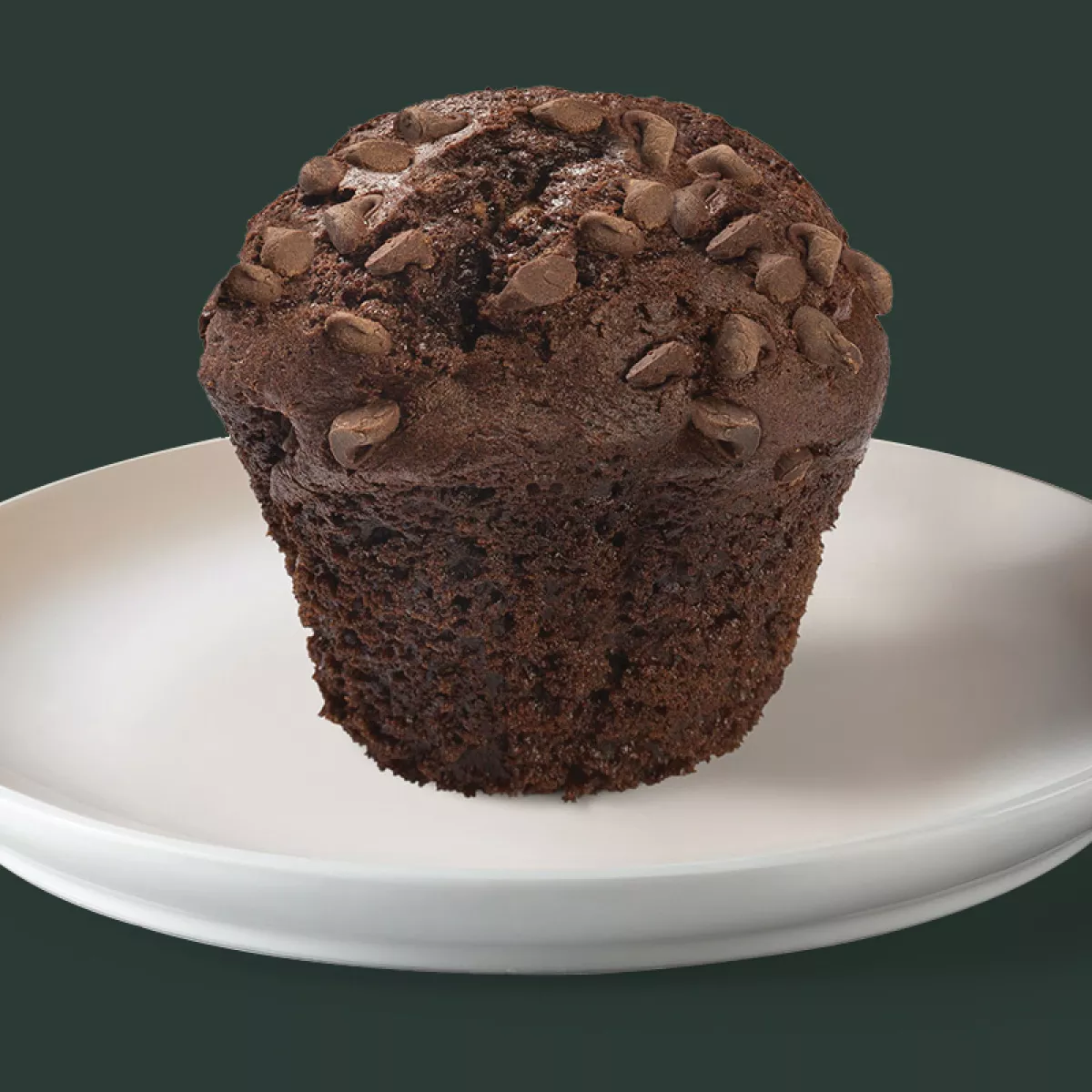 double chocolate muffin